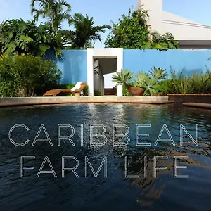 Bed & Breakfast 4 Casitas, Cabo Rojo